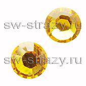 2058 ss 9 Sunflower F