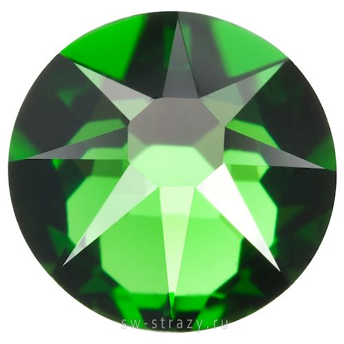 2088 ss 12 Fern Green F