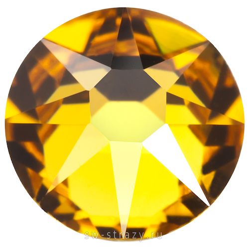 2088 ss 16 Sunflower F